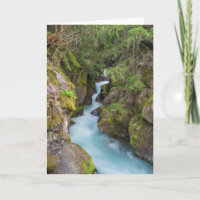 Avalanche Creek, Glacier National Park, Montana