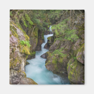 Avalanche Creek, Glacier National Park, Montana Magnet