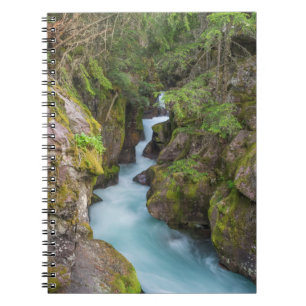 Avalanche Creek, Glacier National Park, Montana Notebook