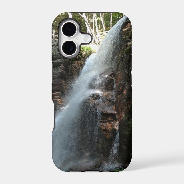 Avalanche Falls (Back)