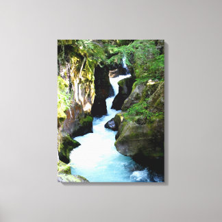 Avalanche Gorge-Glacier National Park Canvas Print