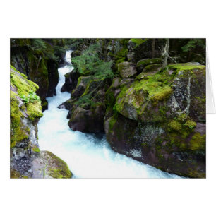 Avalanche Gorge I at Glacier National Park