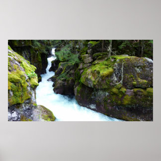 Avalanche Gorge I at Glacier National Park Poster
