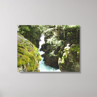 Avalanche Gorge II at Glacier National Park Canvas Print