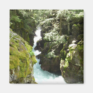 Avalanche Gorge II at Glacier National Park Magnet