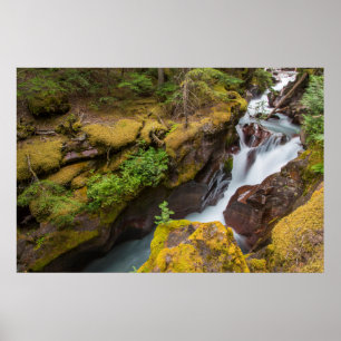 Avalanche Gorge In Glacier National Park Poster