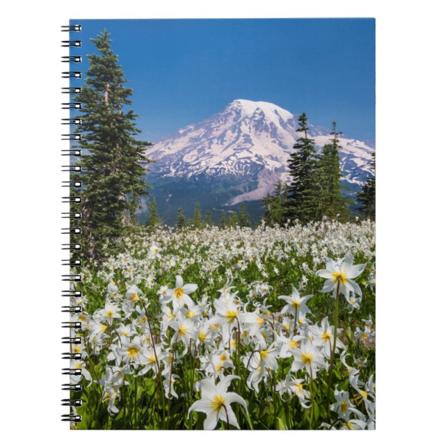 Avalanche lilies and Mount Rainier 2 Spiral Notebook (Front)