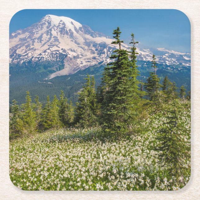 Avalanche lilies and Mount Rainier Square Paper Coaster (Front)