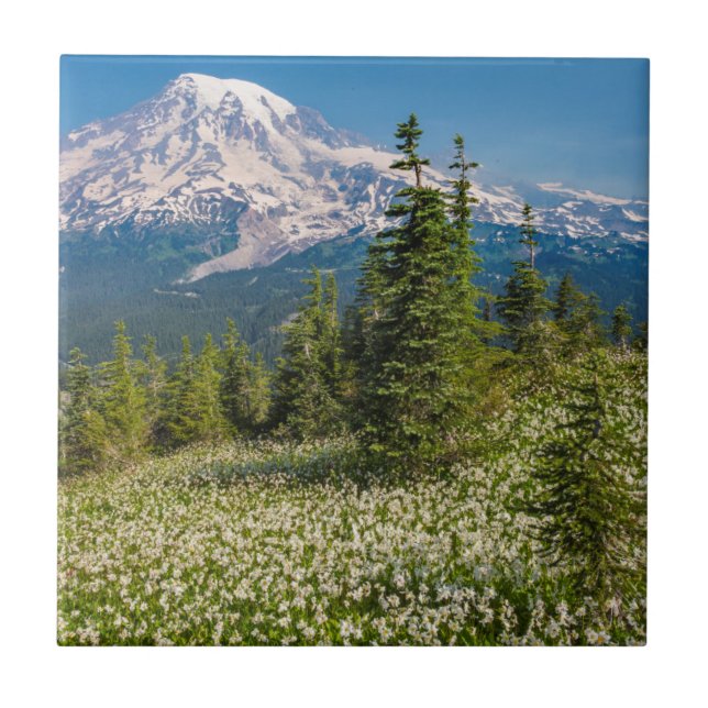 Avalanche lilies and Mount Rainier Tile (Front)