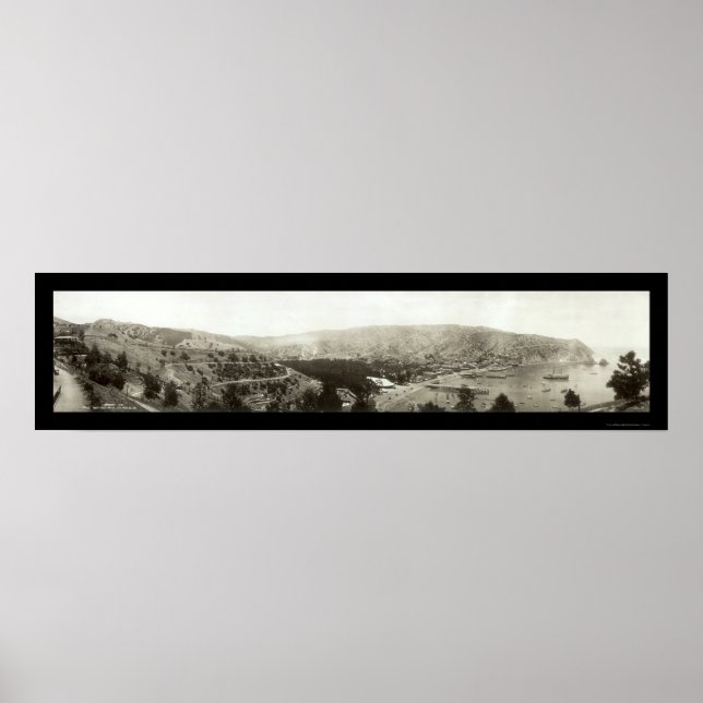 Avalon, CA Catalina Island Photo 1910 Poster (Front)