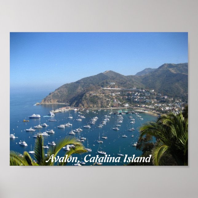 Avalon, Catalina Island Poster (Front)