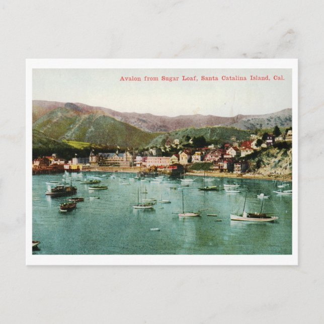 Avalon, Santa Catalina Island, CA Vintage Postcard (Front)