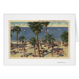Avalon View of Beach w/ Sunbathers