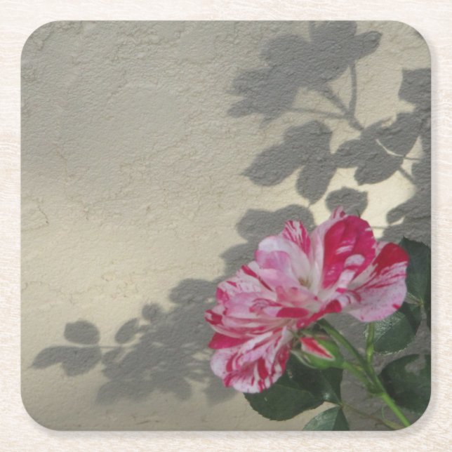 Avant-garde Rose and Shadow Square Paper Coaster (Front)