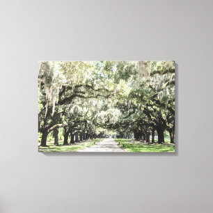 Avenue of Oaks, Boone Hall Plantation Watercolor Canvas Print