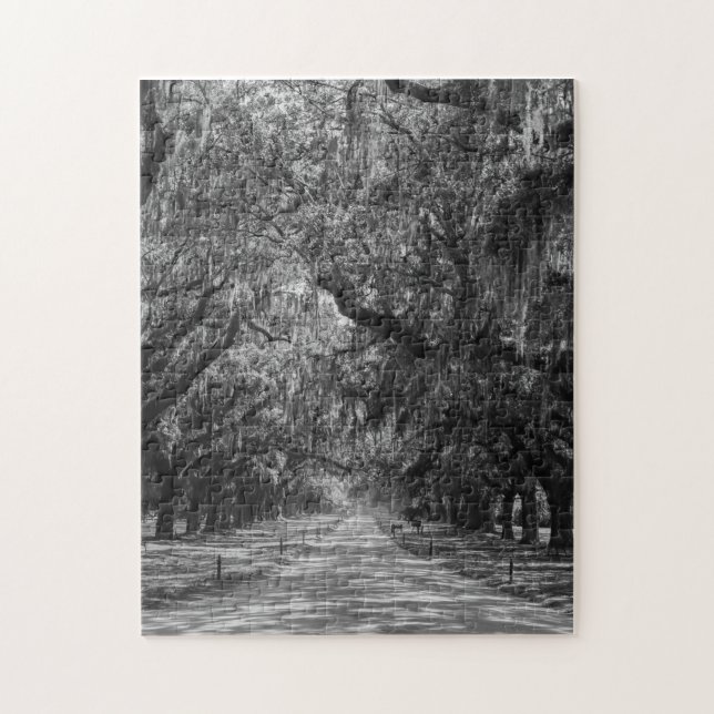Avenue Of Oaks Grayscale Jigsaw Puzzle (Vertical)