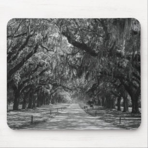 Avenue Of Oaks Grayscale Mouse Pad