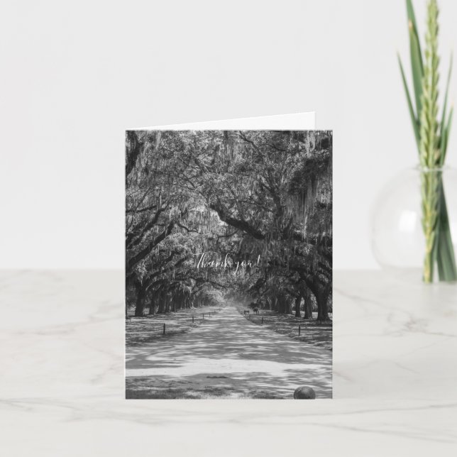 Avenue Of Oaks Grayscale Thank You Card (Front)