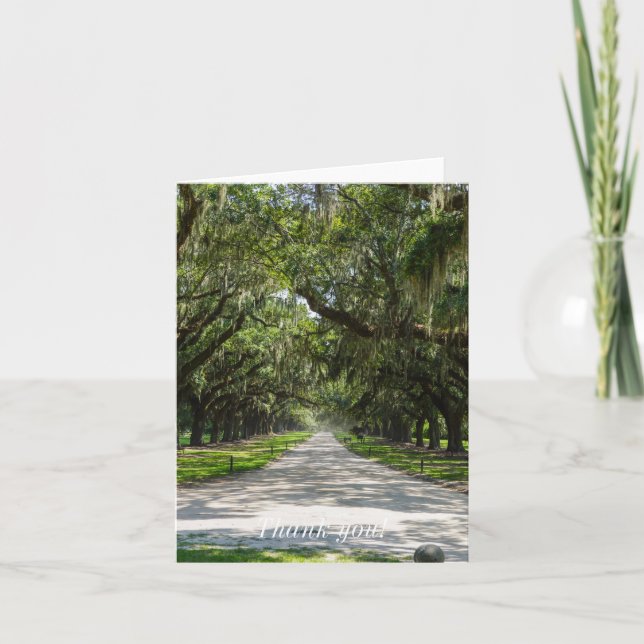 Avenue Of Oaks Thank You Card (Front)