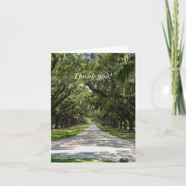 Avenue Of Oaks Thank You Card (Front)