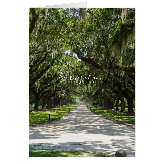 Avenue Of Oaks Thinking Of You Card (Front)