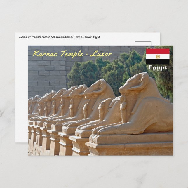 Avenue of Sphinxes in Karnak Temple - Egypt Postcard (Front/Back)