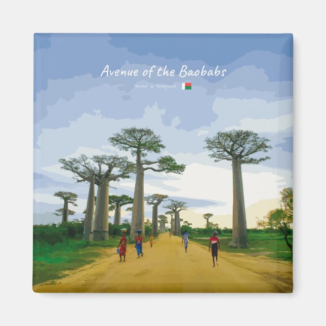 Avenue of the Baobabs, Madagascar - Landscape Magnet (Front)