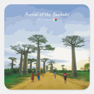 Avenue of the Baobabs, Madagascar - Landscape Square Sticker