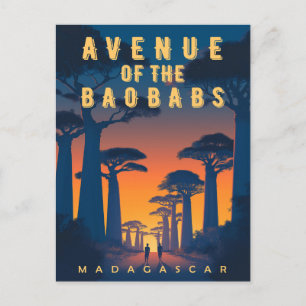 Avenue of the Baobabs Madagascar - Retro African  Postcard