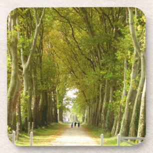 Avenue of Trees Hard Plastic Coasters