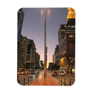 Avenue Paulista - São Paulo Magnet