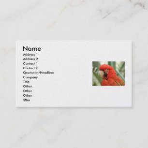 Avery Business Card
