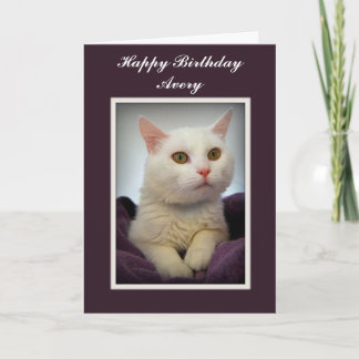 Avery Happy Birthday White Cat Card