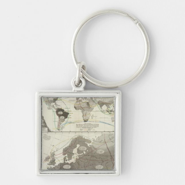 Aves, Birds Key Ring (Front)