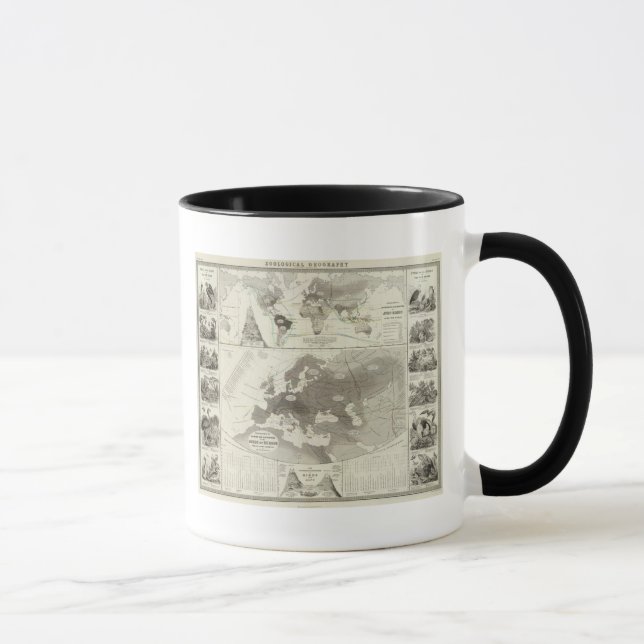 Aves, Birds Mug (Right)