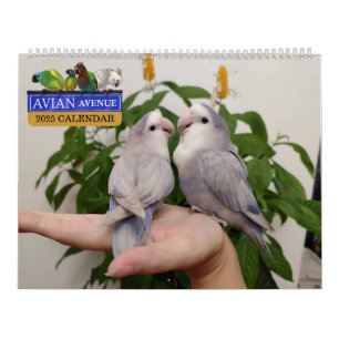 Avian Avenue 2025 Parrot Calendar