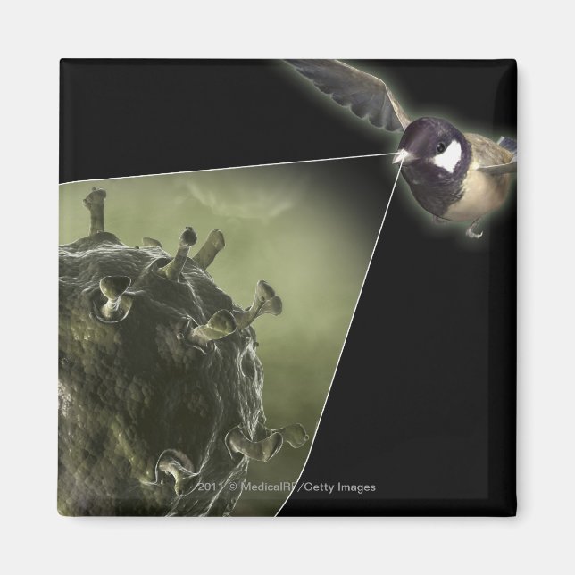 Avian flu coming out of bird magnet (Front)