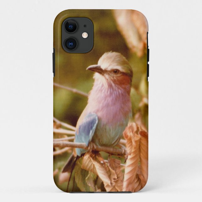 Aviary Case-Mate iPhone Case (Back)