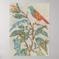 Aviary Collage II