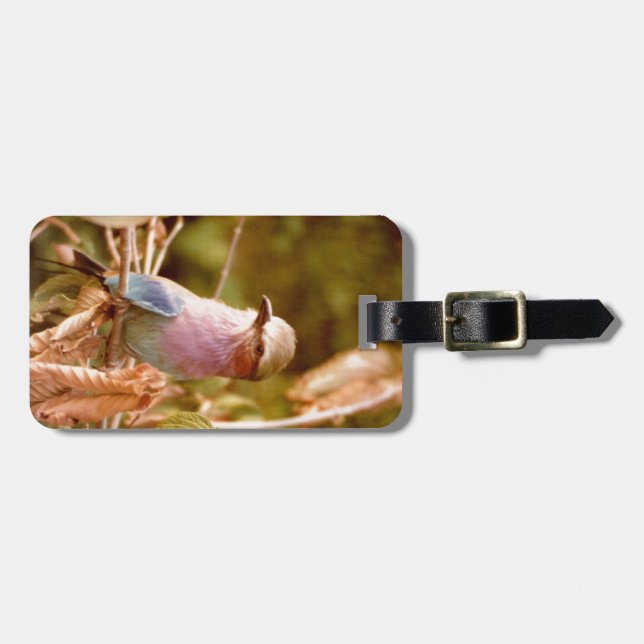 Aviary Luggage Tag (Front Horizontal)