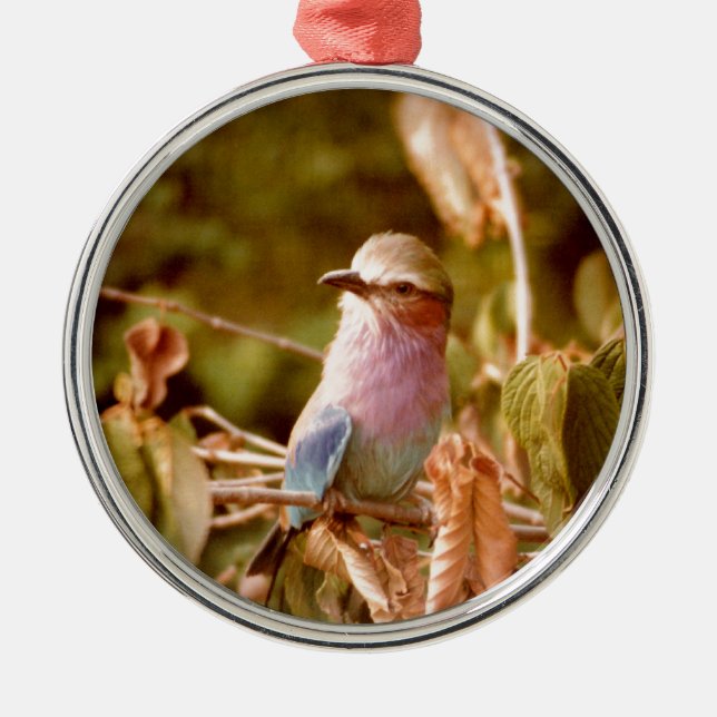 Aviary Metal Tree Decoration (Front)