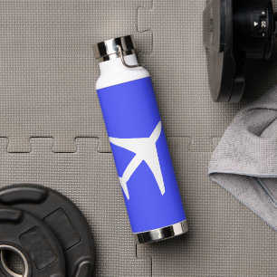 Aviation Aeroplane Plane Pilot Flying Sky Water Bottle
