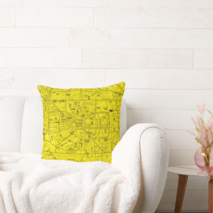 Aviation Chart Cushion