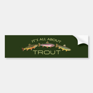 Brook Trout Fly Fishing Truck or Car Magnet