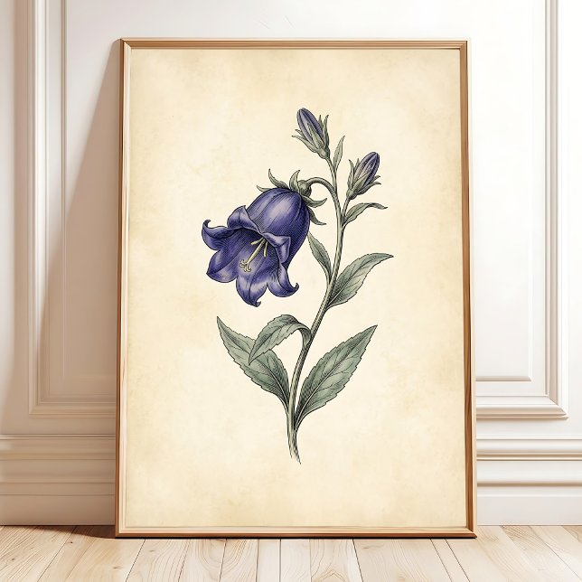 aVintage Botanical Art Print (Creator Uploaded)