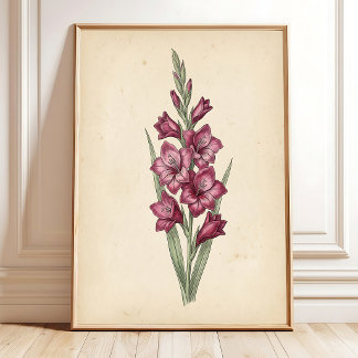 aVintage Botanical Gladiolus Art Print