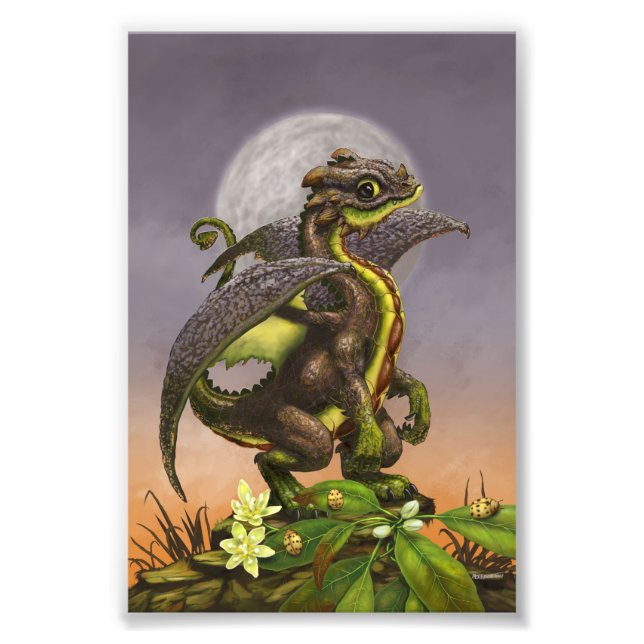 Avocado Dragon 4x6 Print (Front)