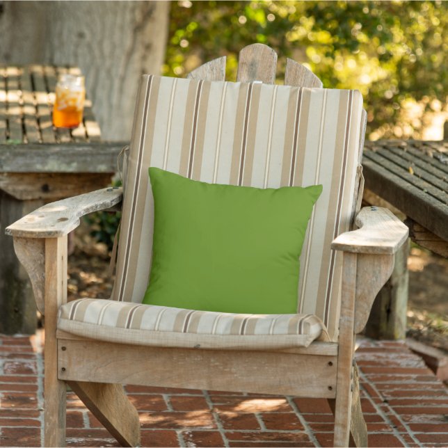Avocado Green Outdoor Throw Pillow (Chair)