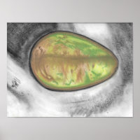 Avocado - oil pastel still life canvas-