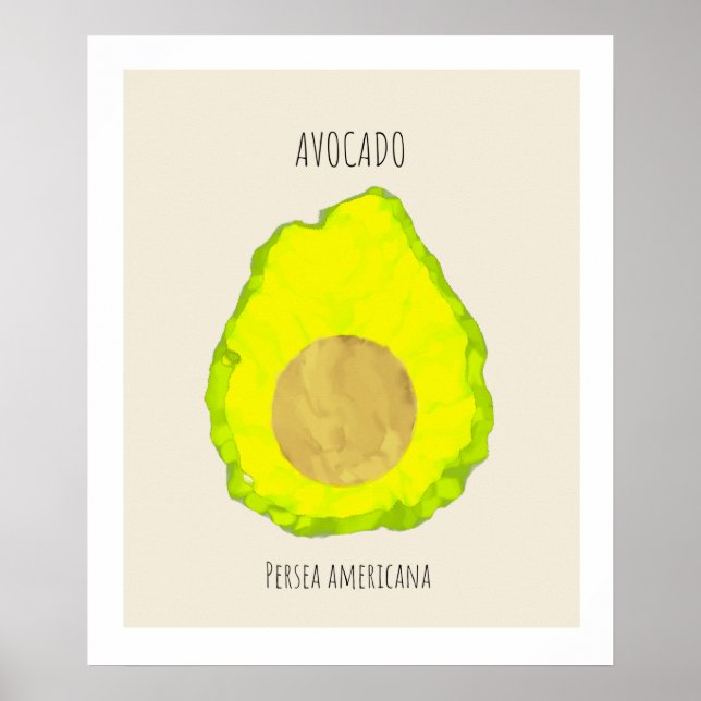 Avocado Painting Poster (Front)